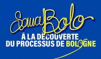 bolo